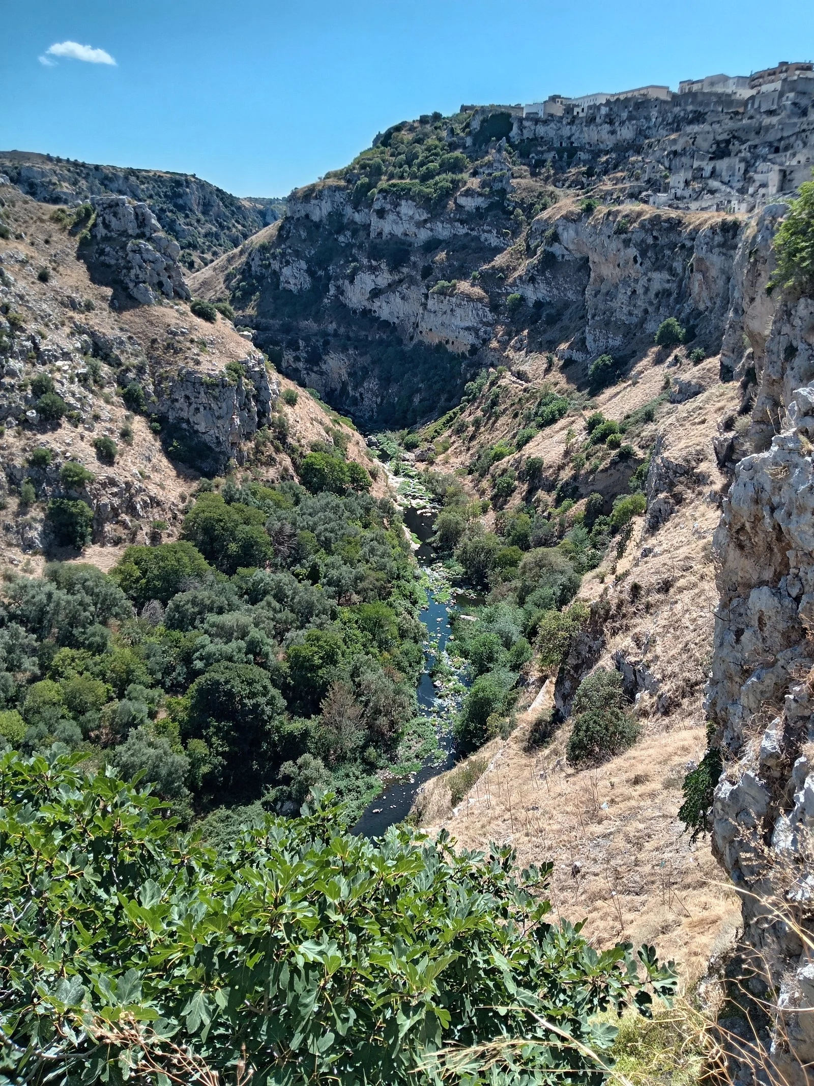 Parc de la Murgia Canyon Gravina1